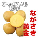 ※7月下旬~8月入荷後発送ジャガイモ種芋【 ながさき黄金 】サイズ混合