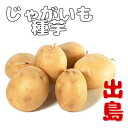 ※7月下旬~8月入荷後発送じゃがいも種芋【 出島 】2Sサイズ~ 【検品合格済品】