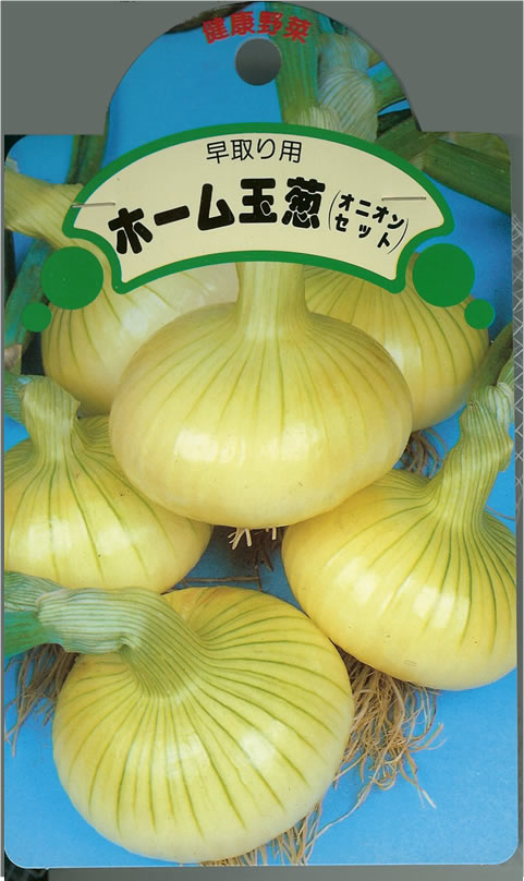 タマネギ球根 【（早どり）ホーム玉葱 オニオンセット　】200g（博多こがねEX Sサイズ）（栽培用 玉ねぎ たまねぎ）