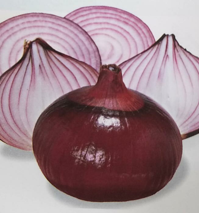 タマネギ種【　赤玉ねぎ　】2dL （たまねぎ 玉ねぎ 玉ネギ 玉葱 生産者向け トーホク）