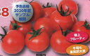 〈500粒〉トマト種ナント種苗