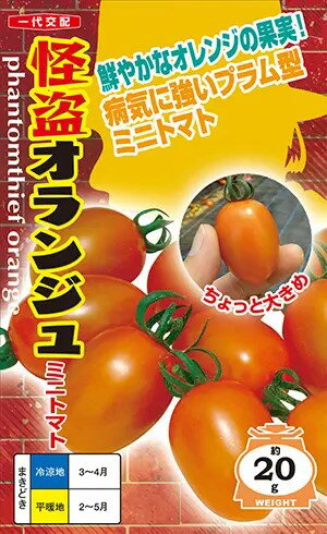 樂天商城 - 〈小袋・500粒〉トマト種【　怪盗オランジュ　】ナント種苗
