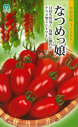 ミニトマト種【　なつめっ娘　】（栽培用 種子 丸種 ）