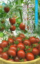 ミニトマト種【 デコショコラ 】(栽培用 種子 丸種 )