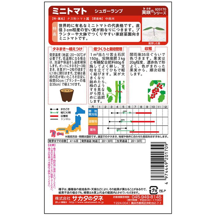 ※新種12月以降入荷予定ミニトマト種【　シュガーランプ　】実咲小袋　サカタのタネ