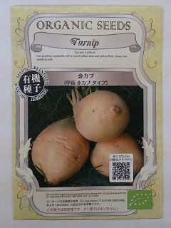樂天商城 - 有機種子【　金カブ / 甲高小カブタイプ　】小袋 （栽培用 種子 根菜）