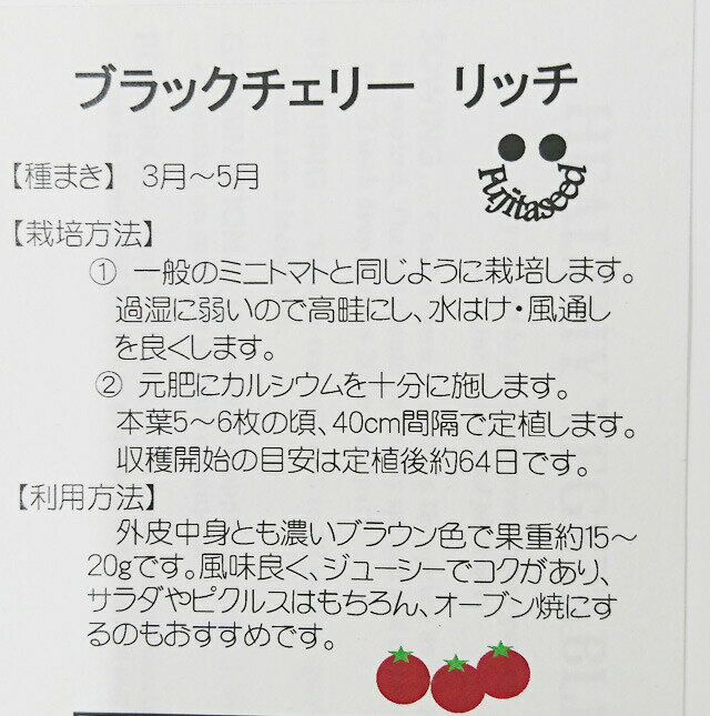 �ߥ˥ȥޥȼ�ڡ��֥�å������꡼�ȥޥȥ�å�����ƣ�ļ��