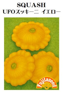 野菜種【　UFOズッキーニ　イエロー　】藤田種子...