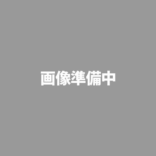https://item.rakuten.co.jp/mitsuyoshi/ari00000000467/