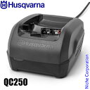 ハスクバーナ バッテリー充電器 QC250 967970104 リチウムイオンバッテリー 250W