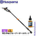 ハスクバーナ アスパイア PE5-P4A プルーナ+ポール キット バッテリー ・充電器付き 970621409 チェンソー バッテリー式 充電式 電動 高枝 ...