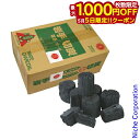 【5日は!枚数限定 最大1,000円OFFクーポン】岩手切炭 3kg 箱入り 706015 アウトドア 木炭 キャンプ 炭 BBQ バーベキュー 炭火焼き 炭火