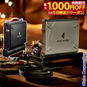 【5日は!枚数限定 最大1,000円OFFクーポン】FORE WINDS(フォアウィンズ) ラックスキャンプストーブ FW-LS01 LUXE CAMP STO...