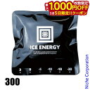 【5日は!枚数限定 最大1,000円OFFクーポン】アイスエナジー 保冷剤 アルミソフトケース 300g -10℃ IEASG2-10-300 保冷材 アウトド...