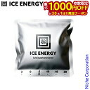 【5/30・6/1は!枚数限定 最大1,000円OFFクーポン】アイスエナジー 用アルミソフトケース シルバー 250g IEASW-S5-250 保冷剤 売り尽くし 在庫処分