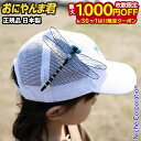 【6/30・7/1は!枚数限定 最大1,000円OFFクーポン】おにやんま君 虫よけ 安全ピン取付タイプ 40024 アウトドア アクセサリー キャンプ 虫よけグッズ 虫除け 安全ピン