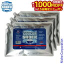 【15日は!枚数限定 最大1,000円OFFクーポン】COOLER SHOCK(クーラーショック) クーラーショック L 3個セット 7CSLSET