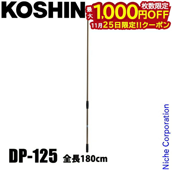 【25日は！枚数限定 最大1,000円OFFクーポン】工進 灌注竿 アルパイノズル 6号(180cm) DP-125 00108883..
