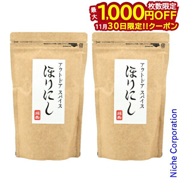 【30日は！枚数限定 最大1,000円OFFクーポン】アウトドアスパイス 「ほりにし」 詰め替え用 2パックセット BBQ バーベキュー 調味料 キャンプ用品 ホリニシ アウトドアスパイス