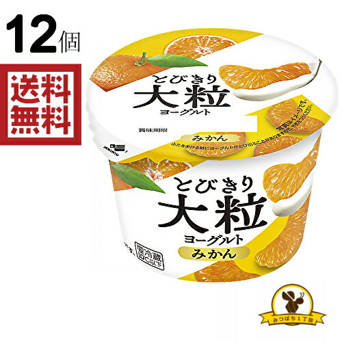 【冷蔵】北乳 とびきり大粒ヨーグルト　みかん 120gX12個のサムネイル