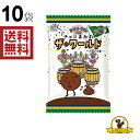 カントリーマアムチョコまみれザ・ワールド(ブラジル編)48g X1箱(10袋)(4)
