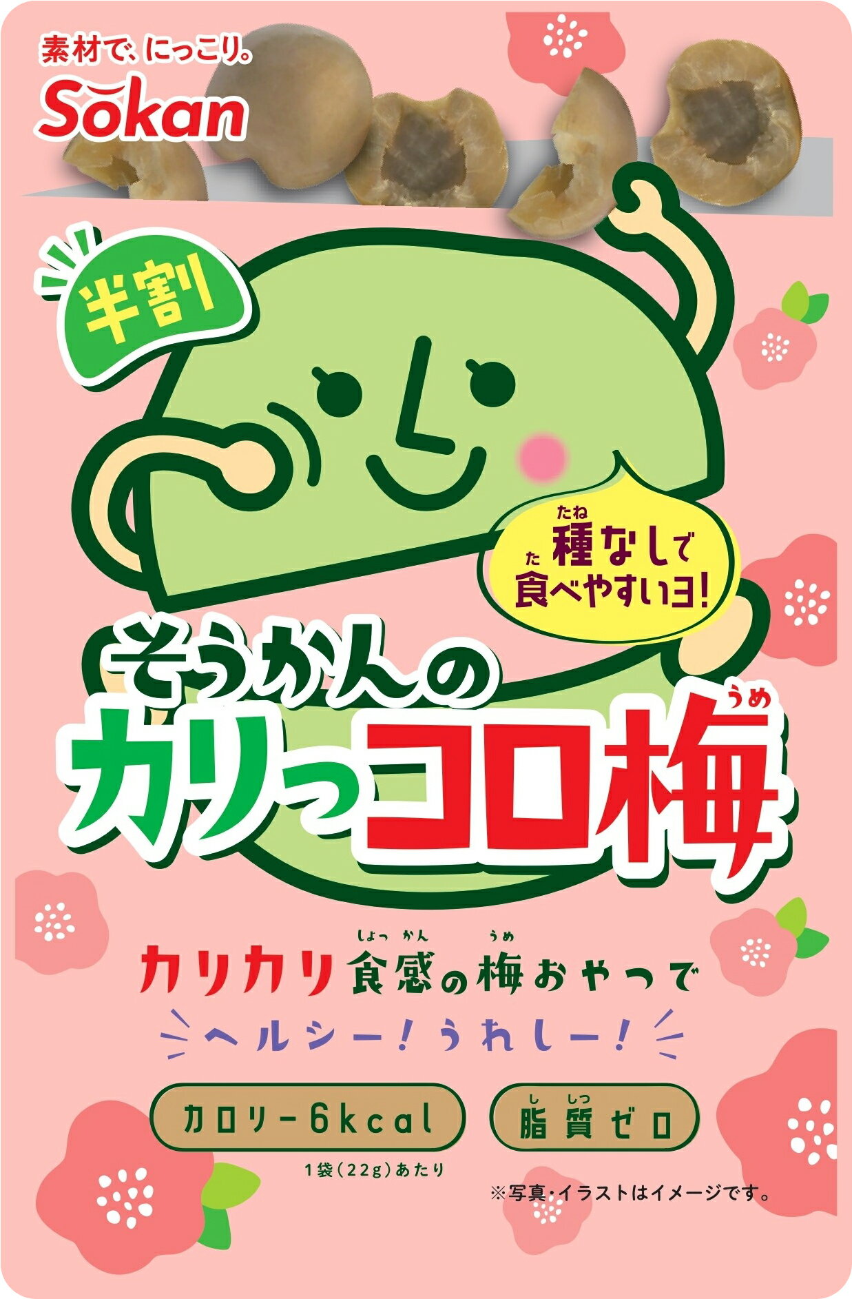 Rakuten - 壮関 そうかんのカリッコロ梅 22g×10袋