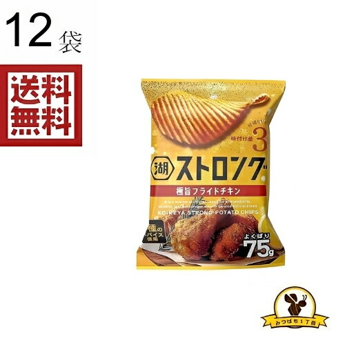 湖池屋 ストロング 極旨フライドチキン 75gx12袋