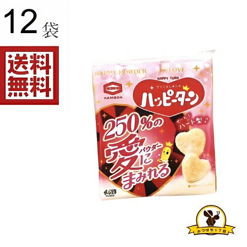 亀田 250%愛にまみれるハッピーターン 26gX12袋