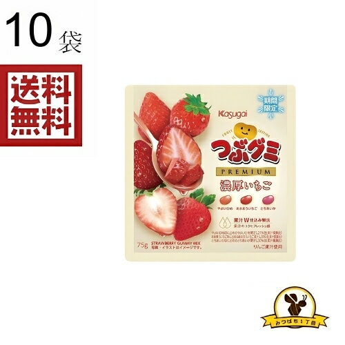 春日井 つぶグミPREMIUM濃厚いちご ×10袋