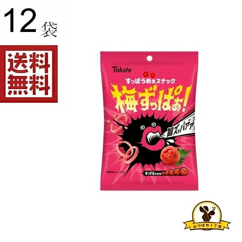 東ハト 梅ずっぱぁ X12袋...