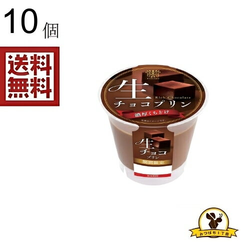 トーラク 生チョコプリン 90gX10個