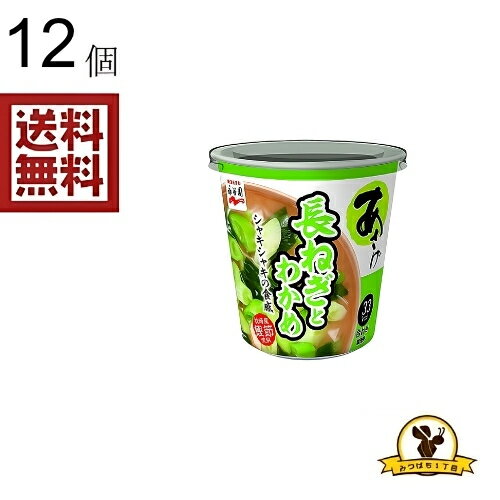 Rakuten - 永谷園 カップみそ汁あさげ 長ねぎ x12個