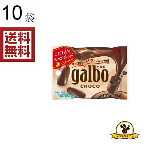 明治 ガルボ チョコ 小袋 59gx10袋