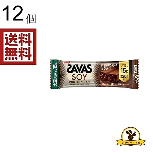 明治 ザバスソイプロテインバー ビター x12個