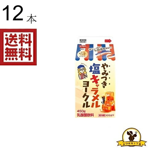 【冷蔵】ヨーク やみつき塩キャラメル 450GX12本
