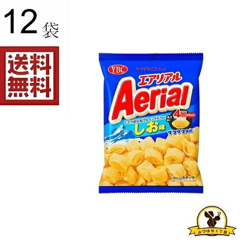 Rakuten - YBC エアリアル アルベンザルツしお 65g X12袋