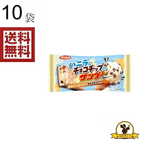 【クリックポスト】有楽 バニラ&チョコチップのサンダー x10袋