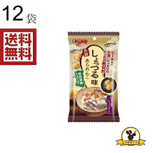 いなふく あられんこしょっつる味 40gx12袋