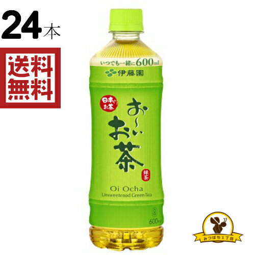 【販路限定】伊藤園 おーいお茶 600mlx24本