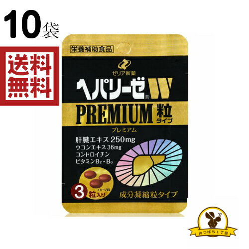 【単品10個セット】CHS薬用ボディソープ ヒューマンシステム(代引不可)【送料無料】