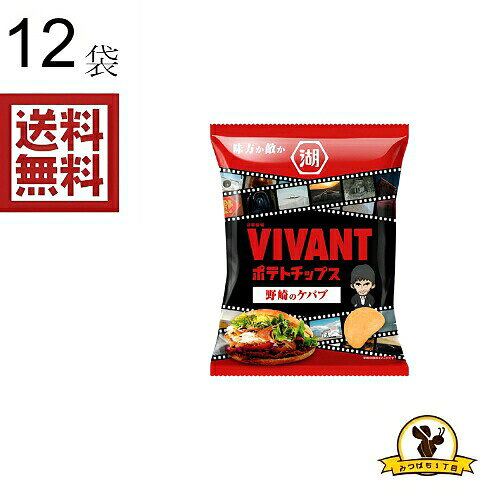 湖池屋 VIVANTポテトチップス 野崎のケバブ X1箱(12袋)