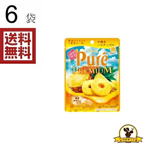 칸로 퓌레구미 프리미엄 파인애플 x6 가방