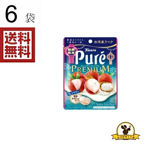 칸로 퓌레구미 프리미엄 소금 라이치 x6 가방