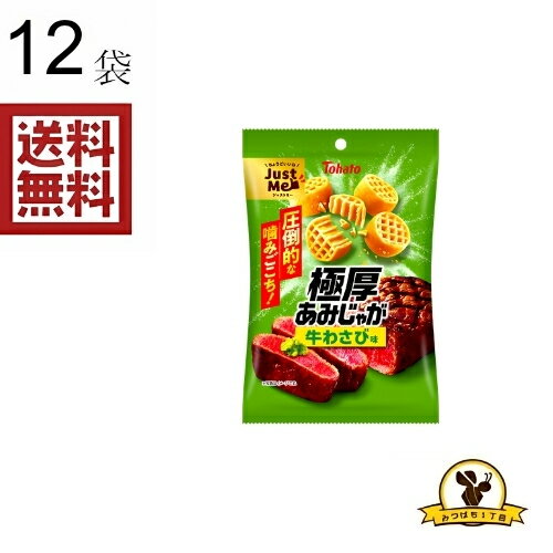 乐天商城 - 東ハト 極厚あみじゃが牛わさび 45gx12袋