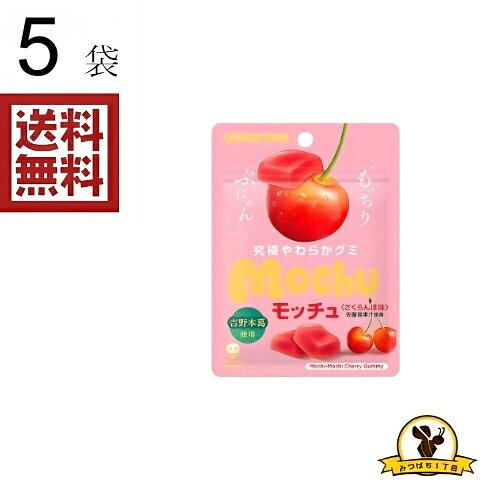 【クリックポスト】味覚糖 モッチュ さくらんぼ 45g×5袋
