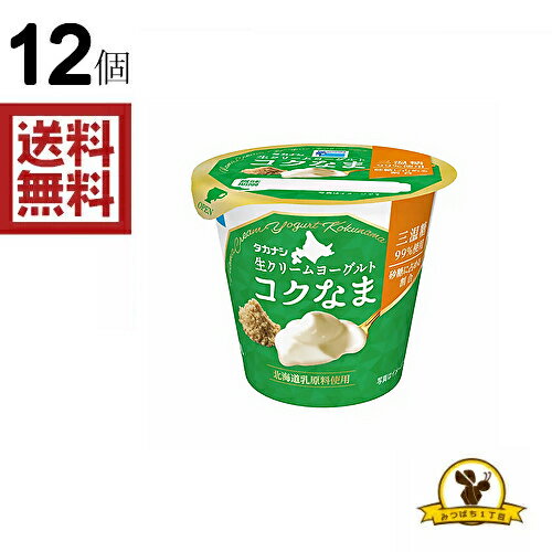 湯田牛乳公社 プレミアム湯田ヨーグルト 加糖 800g 朝食 おやつ プレーン デザート 乳酸菌 スイーツ 発酵 袋 砂糖 軽食 間食 アルミパウチ 健康 便秘 便通 食品 冷蔵【Costco コストコ】