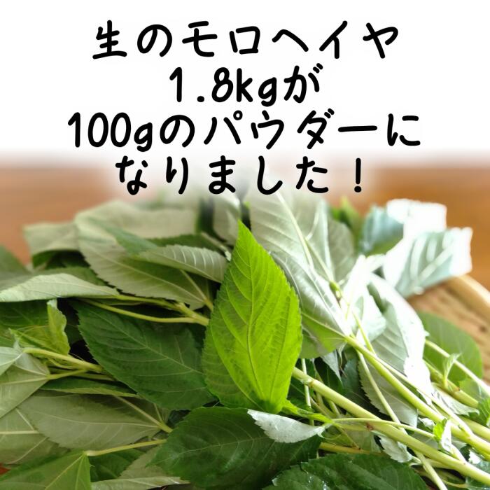 国産 とびっきりモロヘイヤパウダー 100g栽培期間中農薬完全不使用で育てられた四国香川県の元気野菜パウダー食物繊維はなんとコンニャクの18倍！【メール便配送】ポスト投函 国産