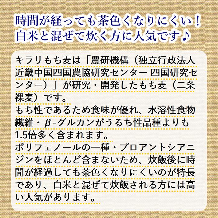 国産もち麦 キラリもち麦 300g栽培期間中農薬完全不使用で育てられた四国香川県のもち麦水溶性食物繊維が豊富、時間が経っても茶色くなりにくいもち麦【メール便配送】ポスト投函