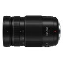 LUMIX G VARIO 100-300mm F4.0-5.6II/ POWER O.I.S.