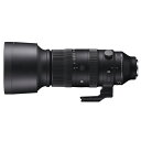 【10年間保証付き】 シグマ 60-600mm F4.5-6.3 DG DN OS Sports ソニーE用